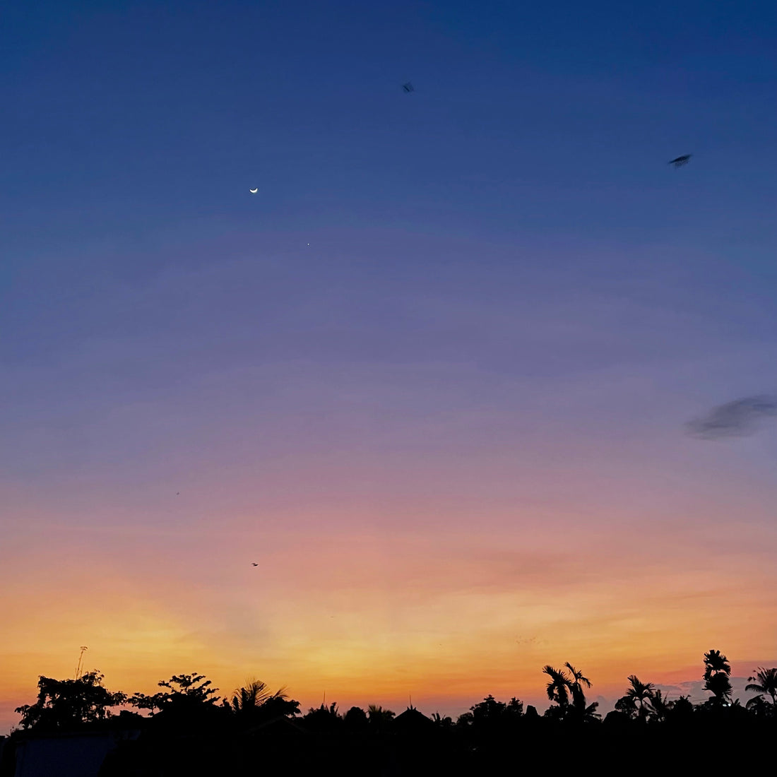 洗濯だって選択の連続!