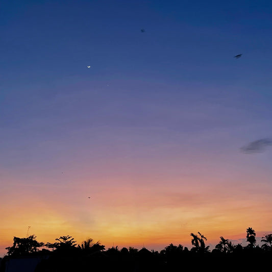 洗濯だって選択の連続!