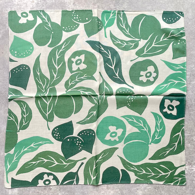 LAST1 プチスカーフ「桃栗三年柿八年」変化-white×green系(シルク40%レーヨン60%)