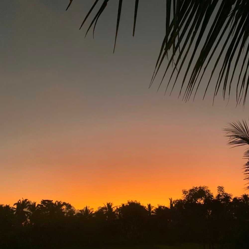 LAST1 スカーフ「バナナ」夕暮れ(コットンシフォン100%)