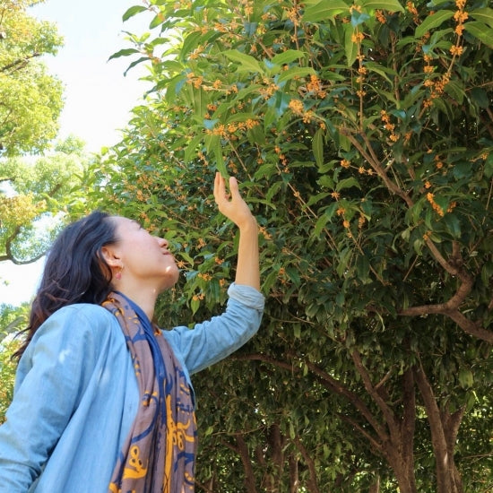 LAST1ストール「イネ」 オイシイネ!(シルク40%レーヨン60%)