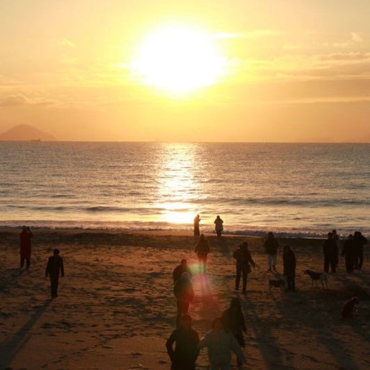 AMONGのブログ 下田の吉佐美大浜からの初日の出